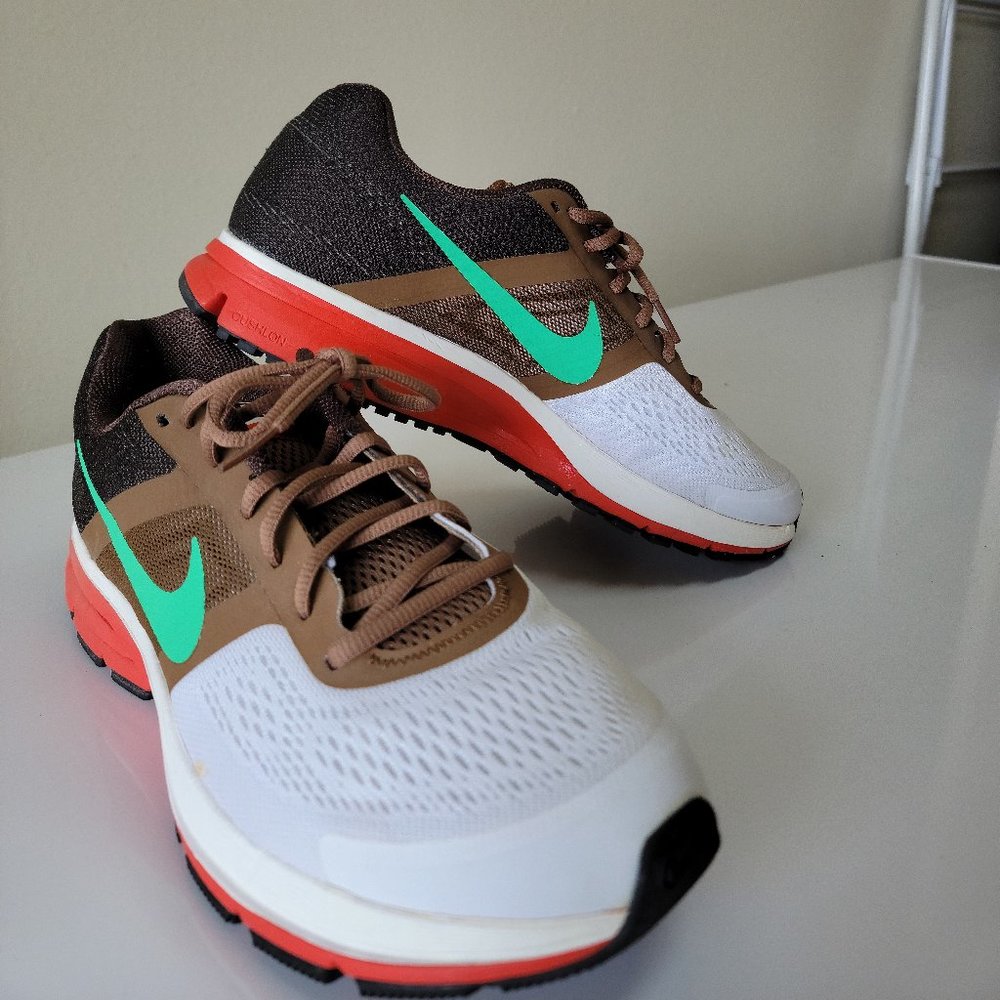 Men's Nike Air Pegasus + 30 “California” size 10
